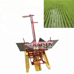 High Efficiency New Design Farm Transplanter Machine 2 Rows Manual Hand Rice Transplanter